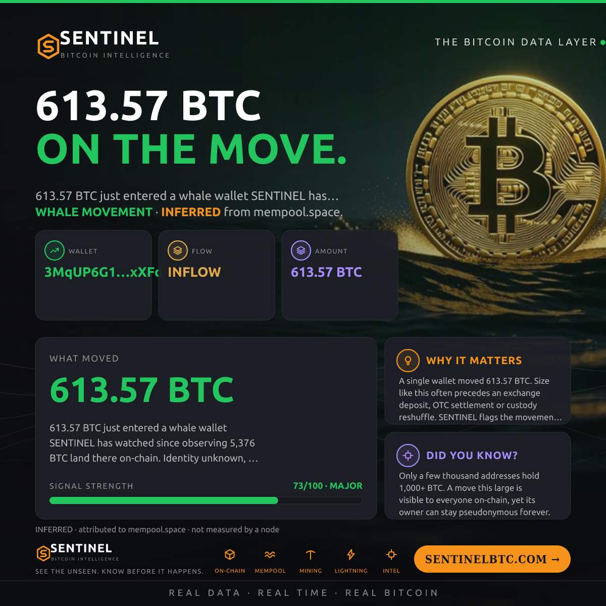 WHALE WALLET: 613.57 BTC IN