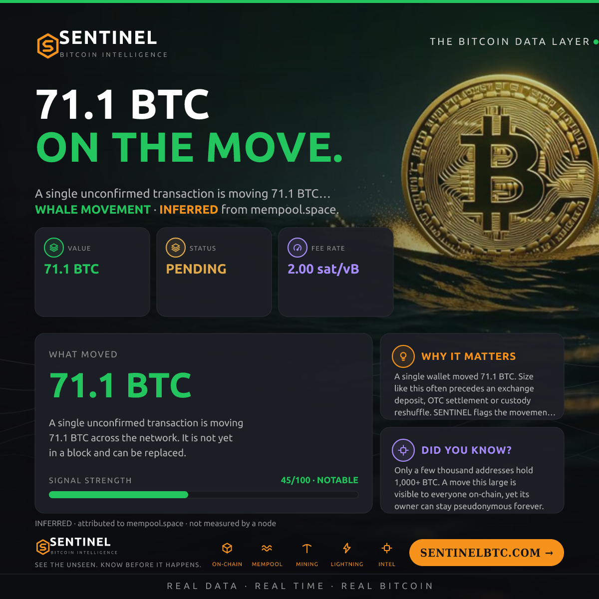 71.1 BTC ENTERED THE MEMPOOL
