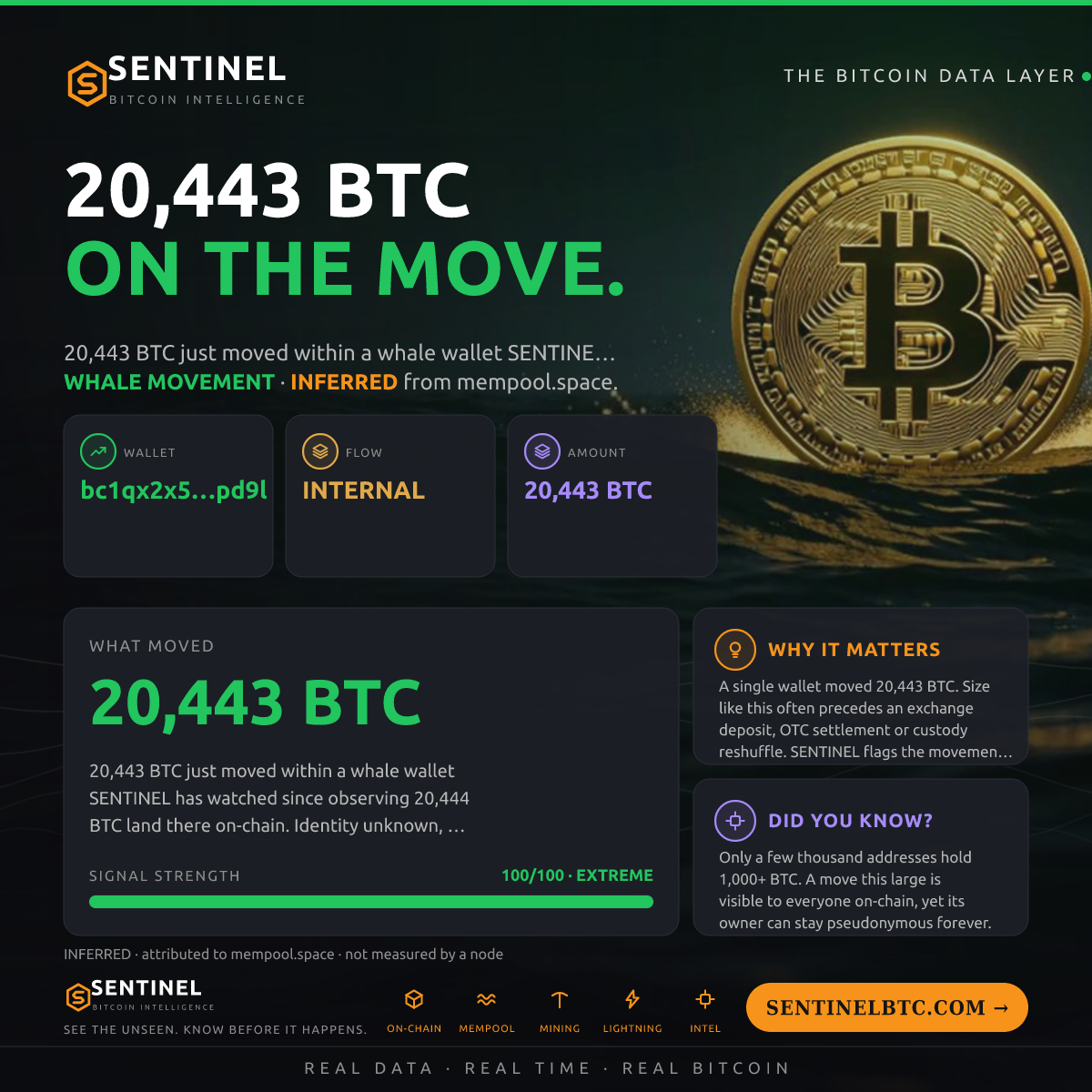 WHALE WALLET: 20,443 BTC SHUFFLED