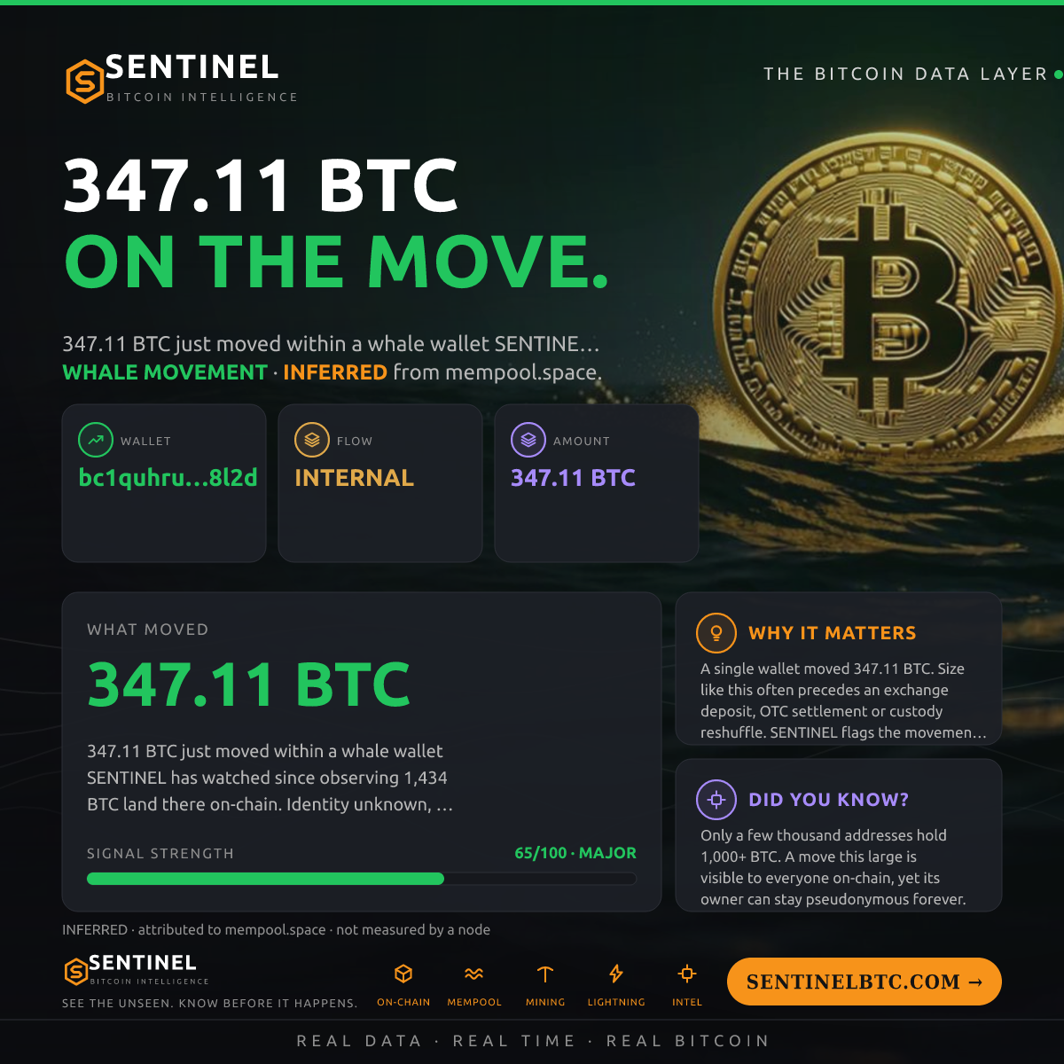 WHALE WALLET: 347.11 BTC SHUFFLED