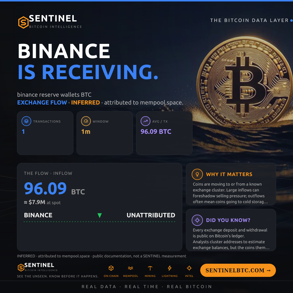BINANCE: 96.09 BTC IN