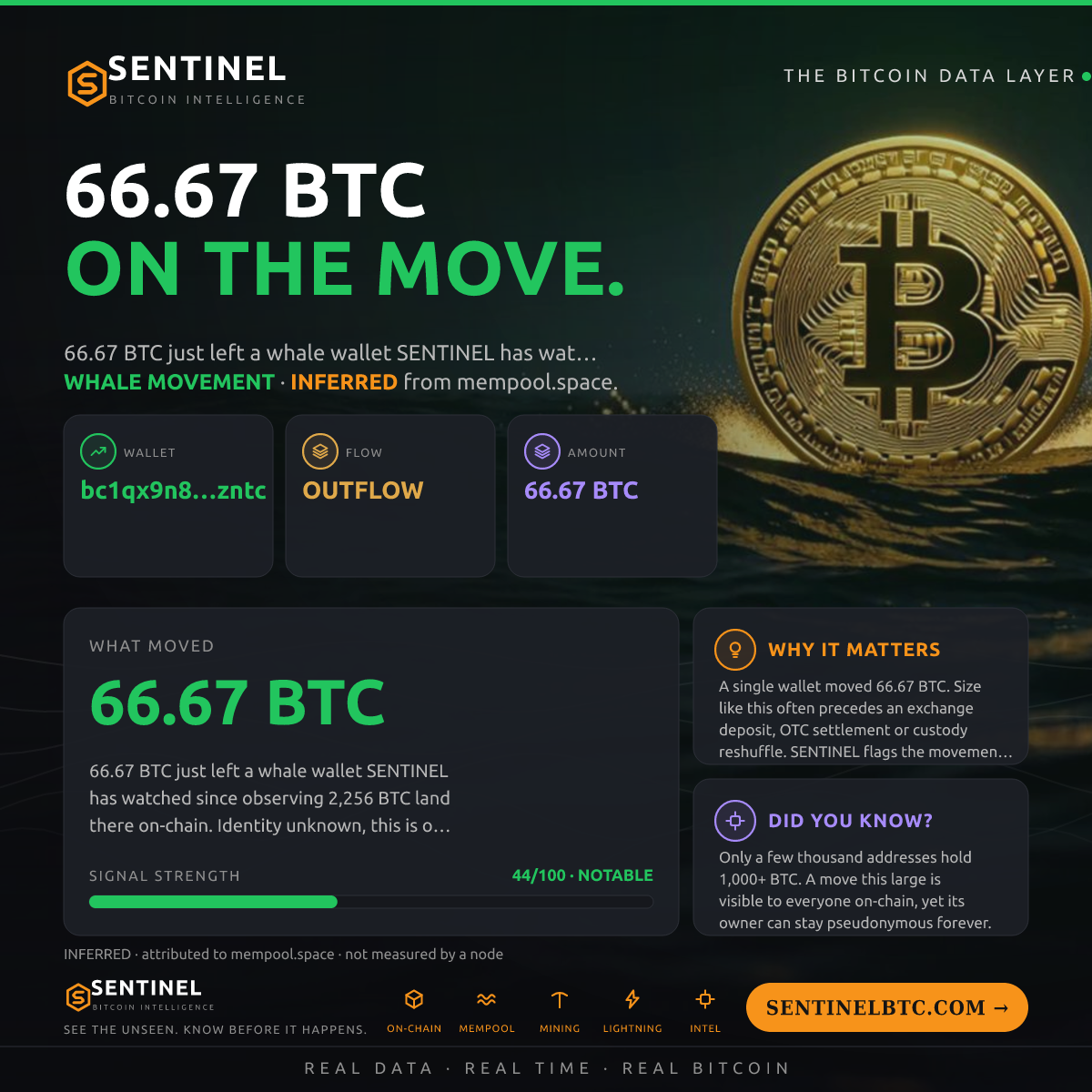 WHALE WALLET: 66.67 BTC OUT