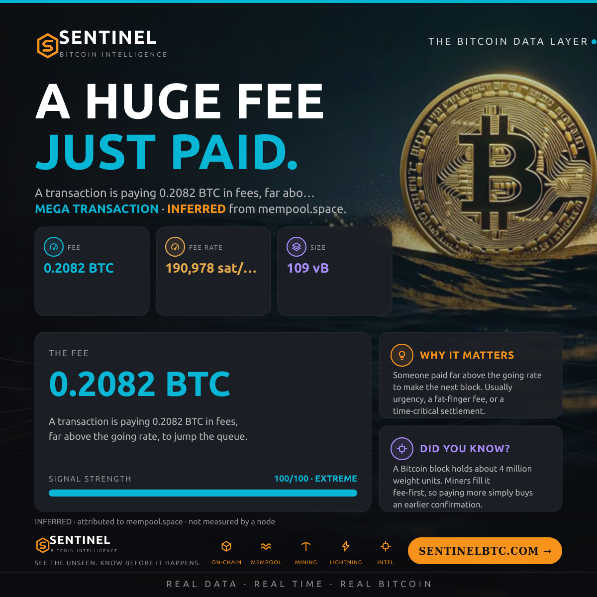 0.2082 BTC FEE PAID