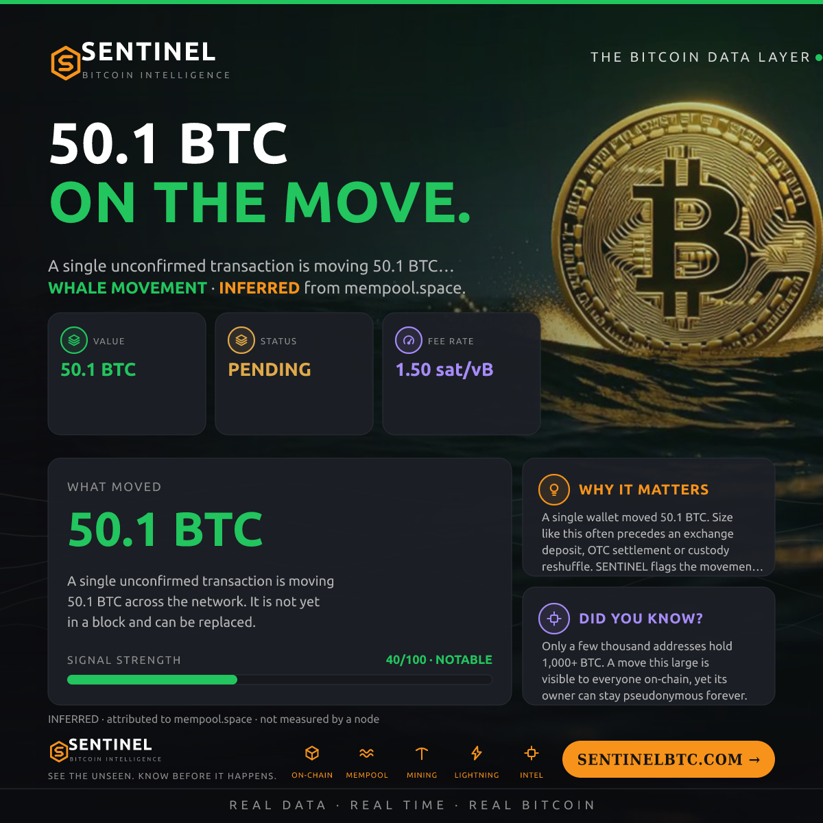 50.1 BTC ENTERED THE MEMPOOL