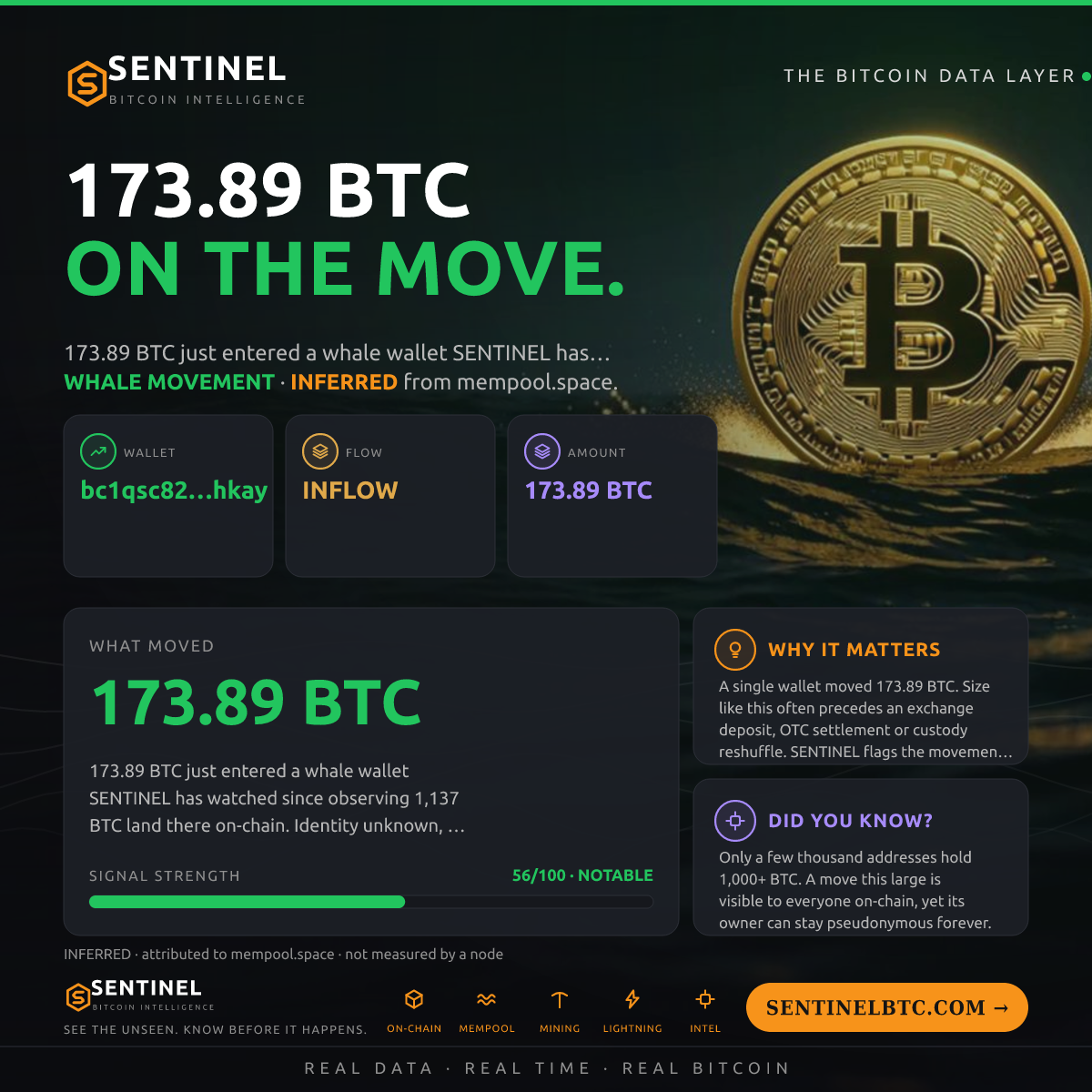 WHALE WALLET: 173.89 BTC IN