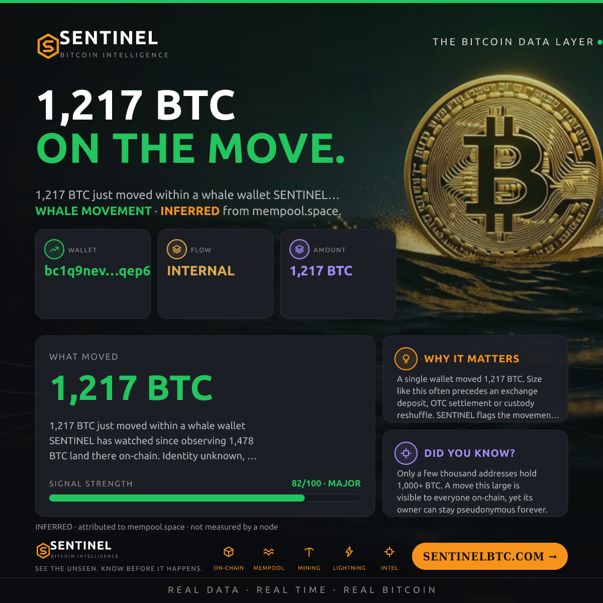 WHALE WALLET: 1,217 BTC SHUFFLED