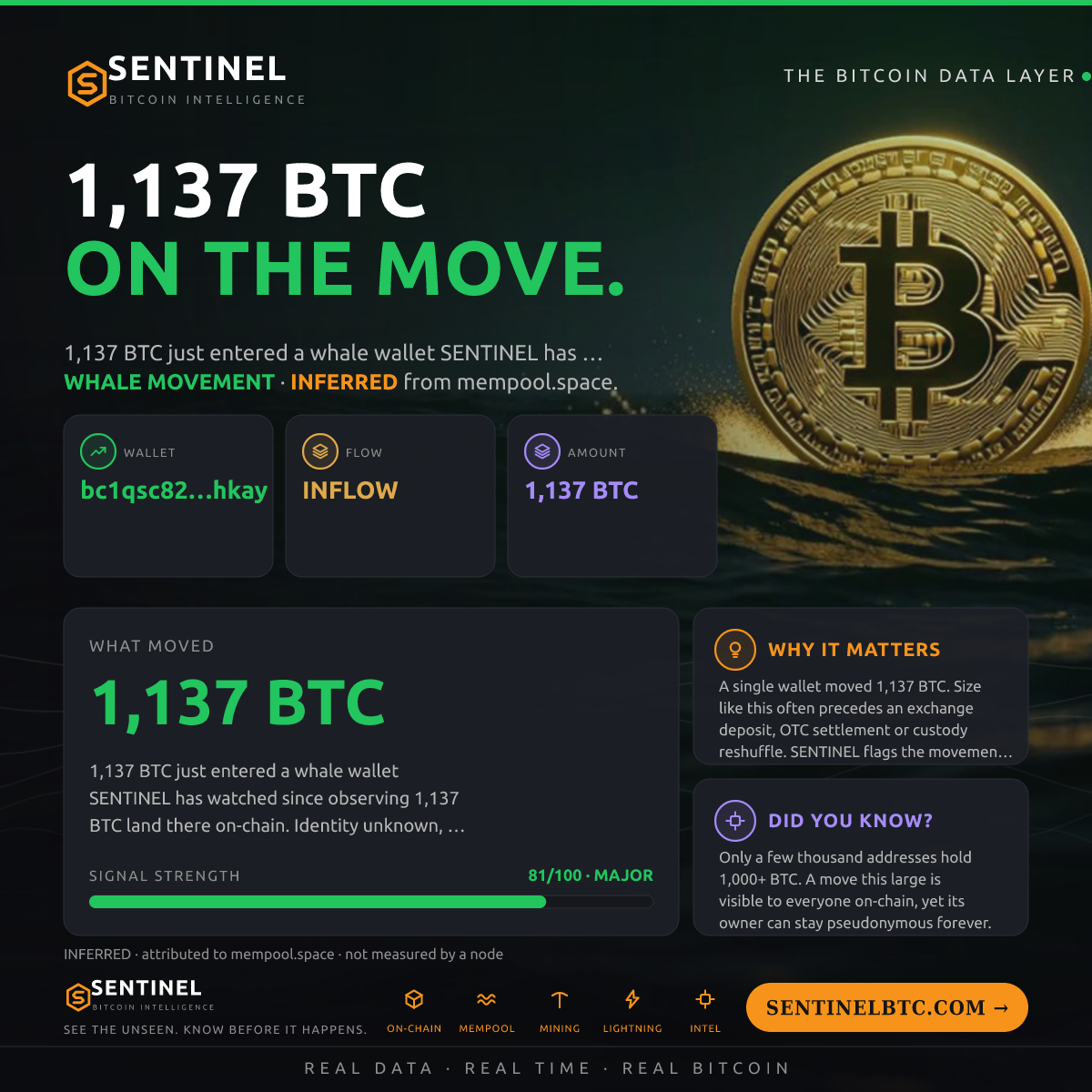WHALE WALLET: 1,137 BTC IN