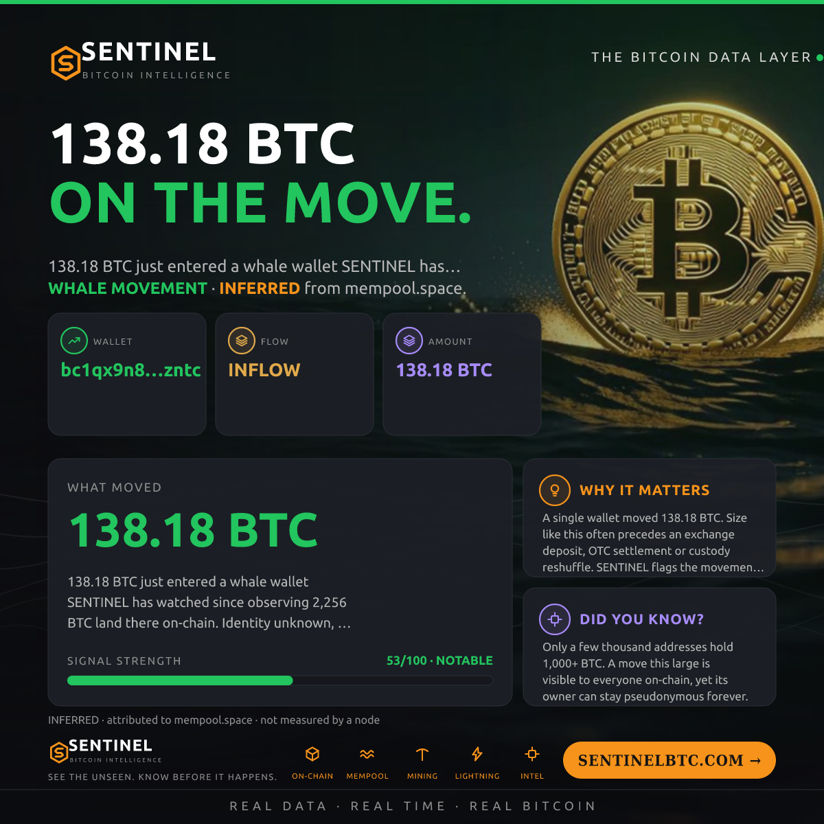 WHALE WALLET: 138.18 BTC IN