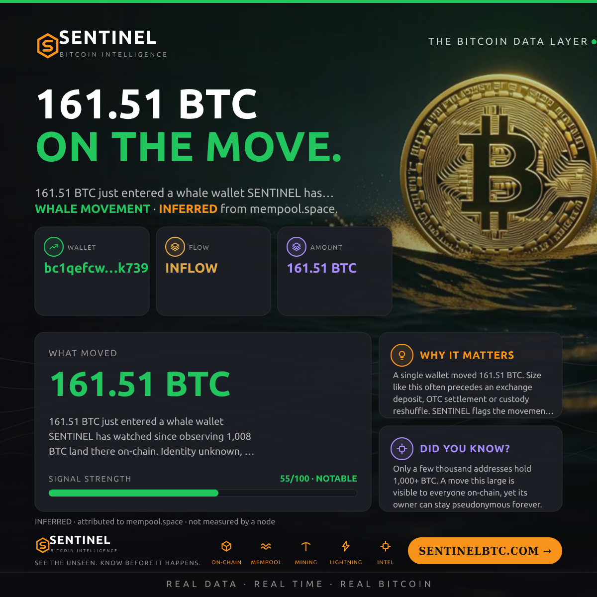 WHALE WALLET: 161.51 BTC IN