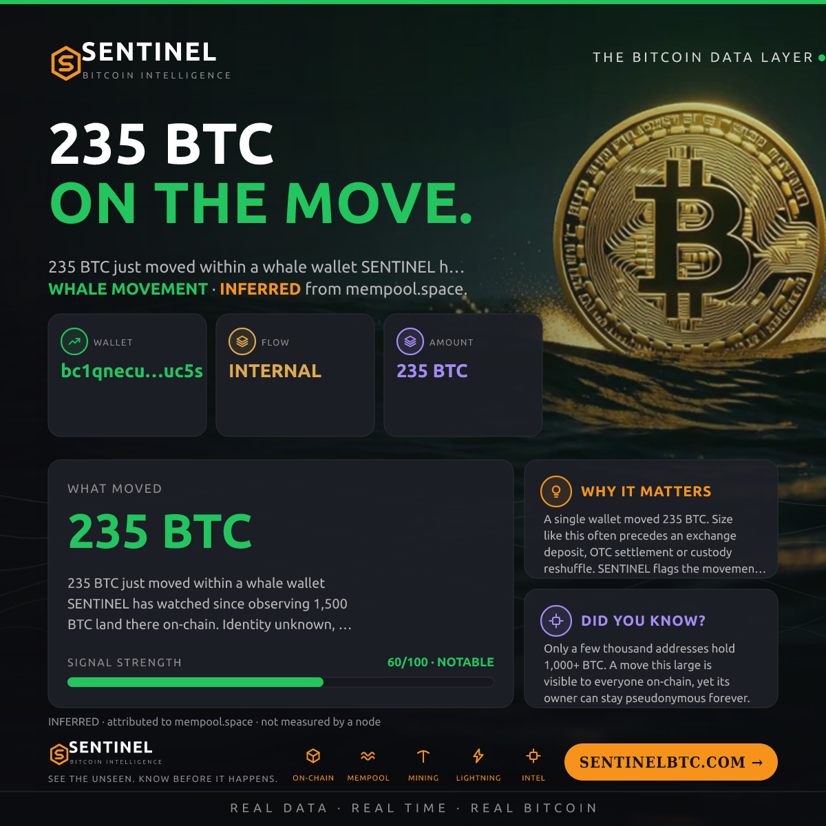 WHALE WALLET: 235 BTC SHUFFLED