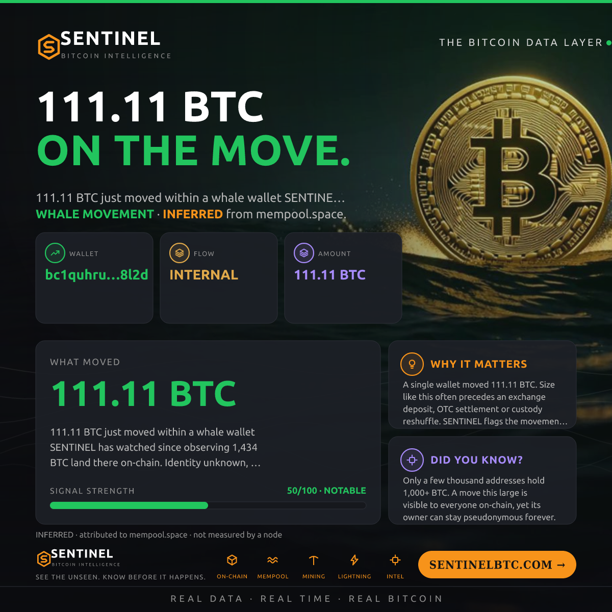 WHALE WALLET: 111.11 BTC SHUFFLED