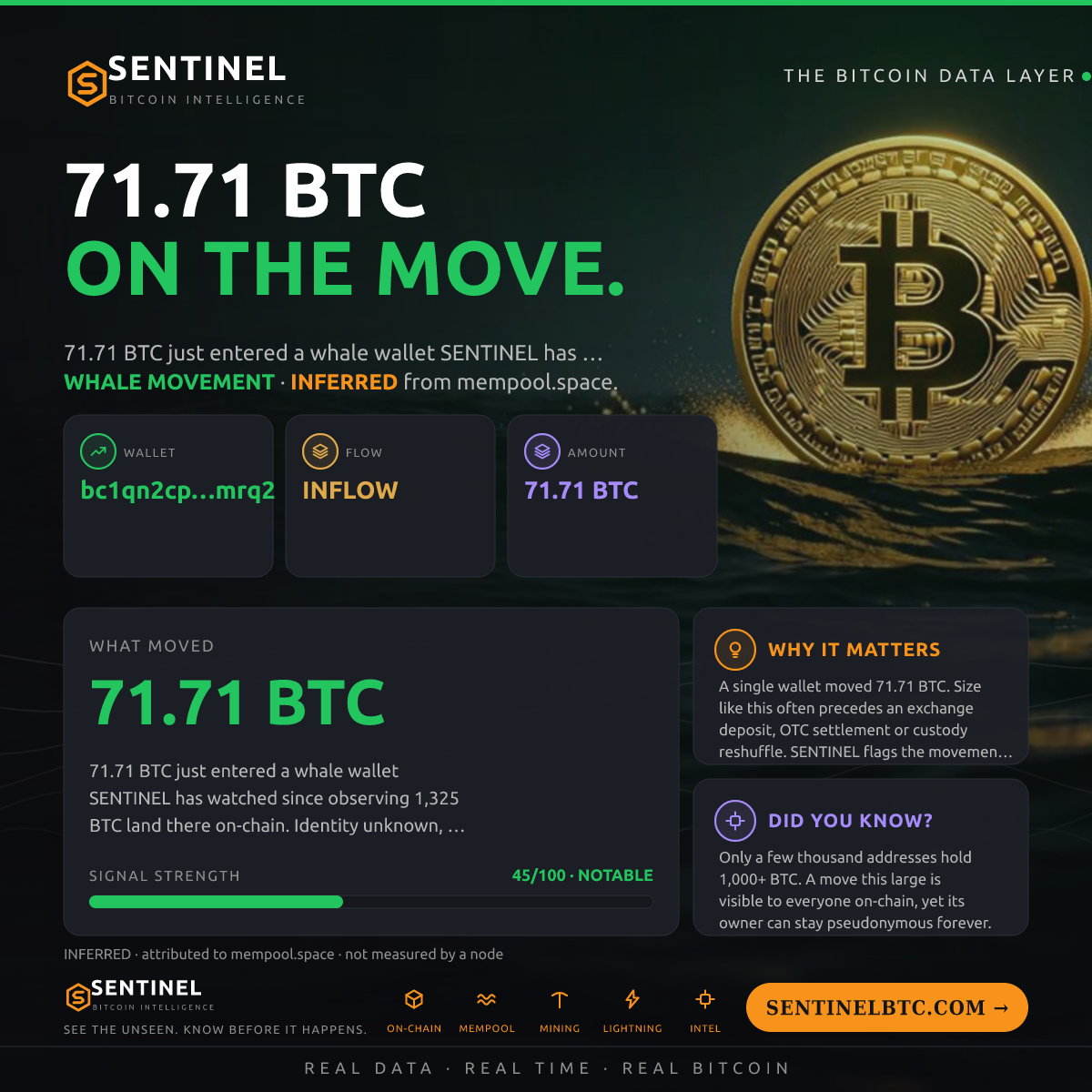 WHALE WALLET: 71.71 BTC IN