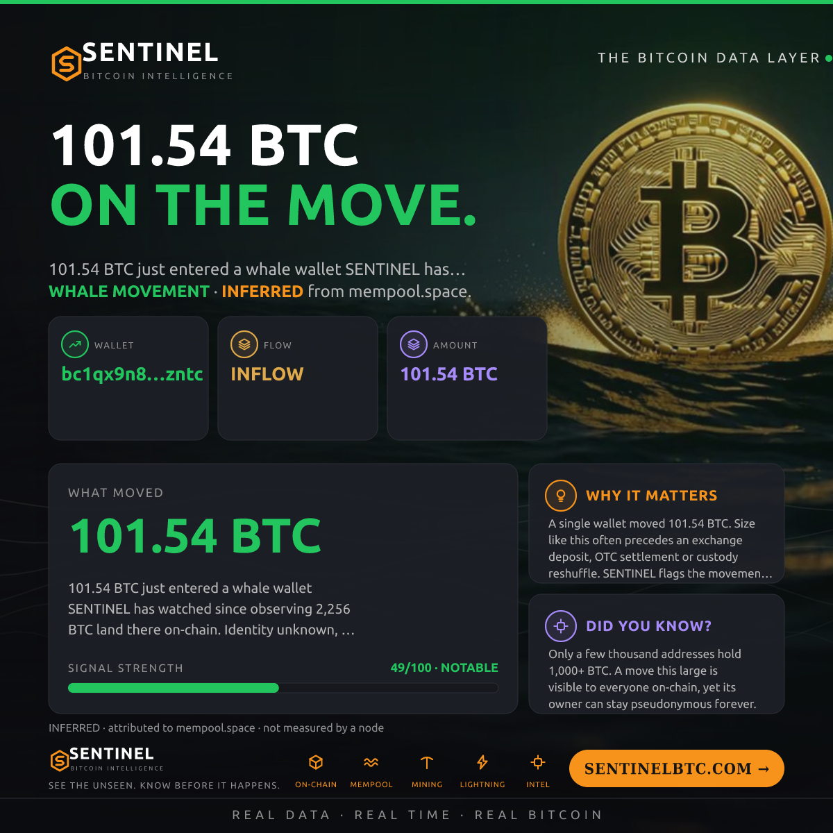 WHALE WALLET: 101.54 BTC IN