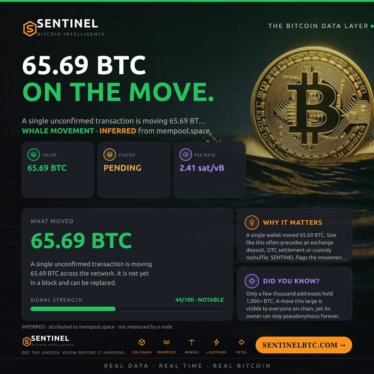 65.69 BTC ENTERED THE MEMPOOL