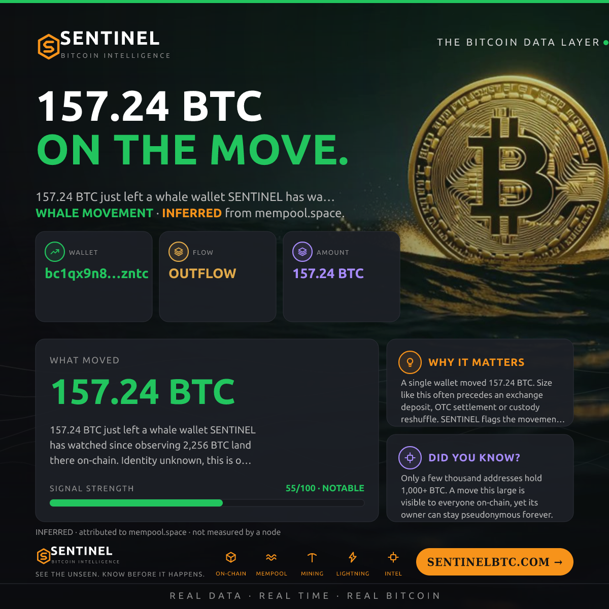 WHALE WALLET: 157.24 BTC OUT