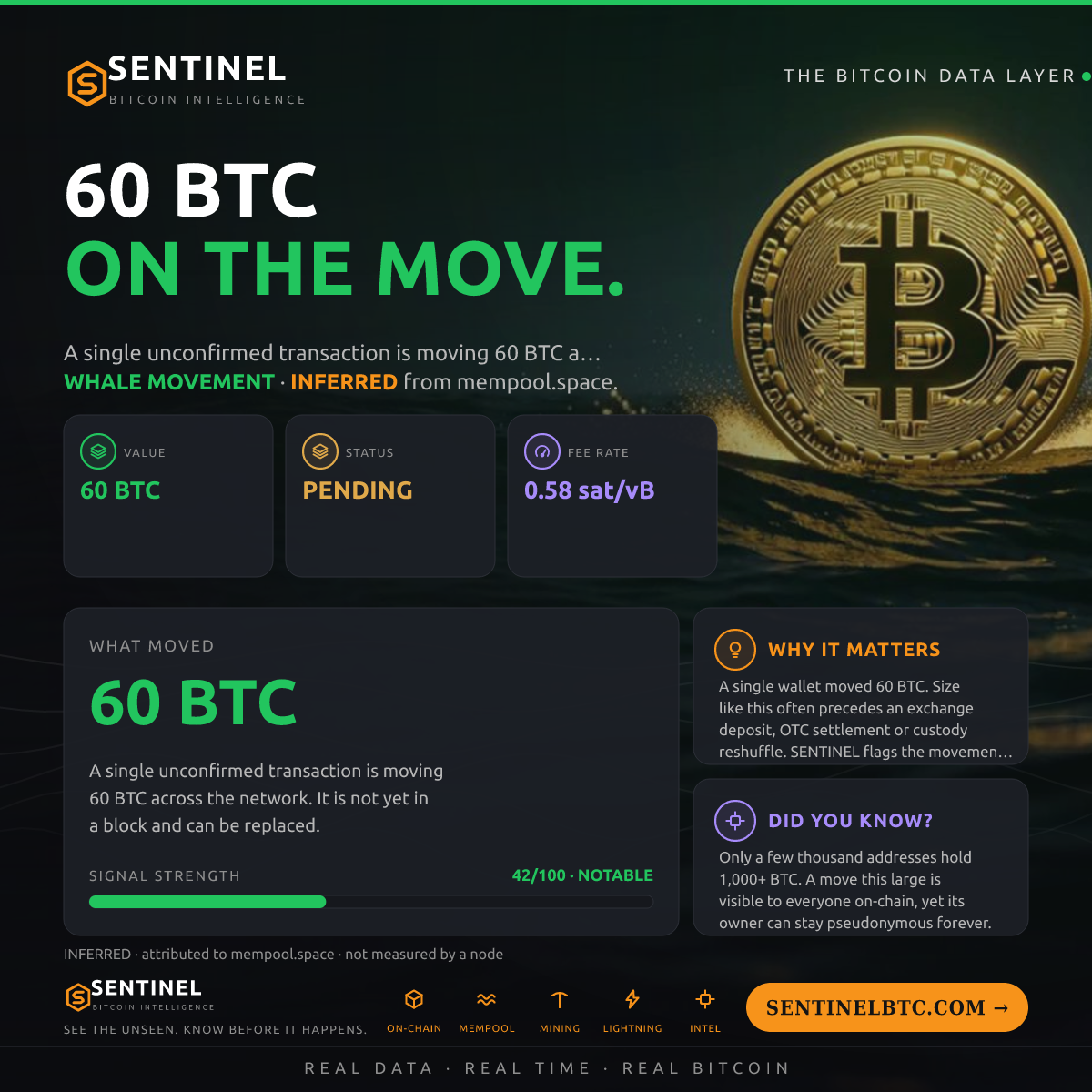 60 BTC ENTERED THE MEMPOOL