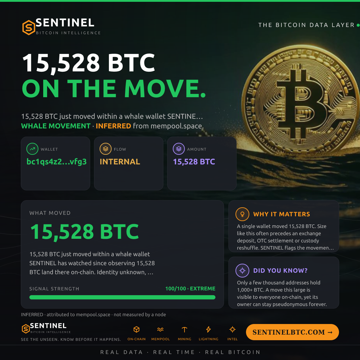 WHALE WALLET: 15,528 BTC SHUFFLED